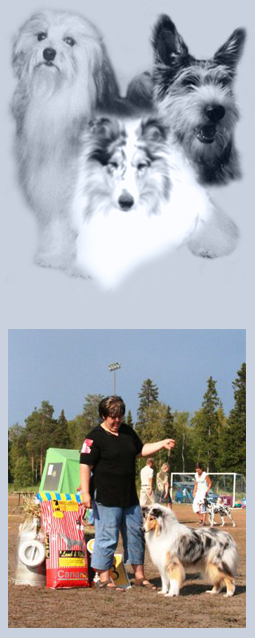 Etusivun kuva Kennel Marzan